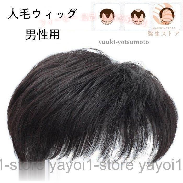 【期間限定300円OFFクーポン】ウィッグ 男性用 かつら 人毛ウィッグ 中年 自然黒 ...