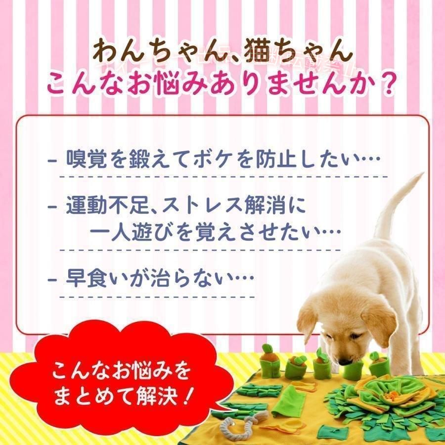 フィービーの【期間限定5％OFFクーポン】ノーズワークマット 犬 おもちゃ 早食い防止 噛む ノーズワークゾンチー 知育玩具 犬用 ロープ にんじん畑 嗅覚訓練マット ペット用品 飼育 おしゃれ 使いやすい｜アングル2