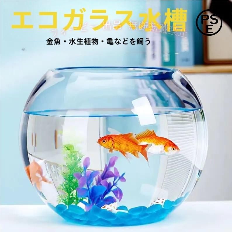 商品説明? 商品：金魚鉢 素材：ガラス サイズ：画像に参考 特徴 丸型水槽は金魚・メダカの飼育以外にも、 多肉植物や観葉植物を植えてみたり、 テラリウム・苔リウム・ハイドロカルチャーの容器にも最適です♪ その他エビ、ベタ、マリモなどを入れる瓶として ボトルアクアやグラスアクアリウムとしてのご利用、 またはハムスターやデグー、チンチラなど 小動物の砂風呂・砂浴び・砂遊びにもお使いになれます♪ 季節や気分に合わせて 自分だけのアレンジメントをお楽しみ下さいませ♪ 注意事項 ※計測は手動によるものですので、若干の誤差が生じる場合がございます。ご了承ください。 ※製品アップデートにより、細部のデザインが予告なく変更される場合がございます。
