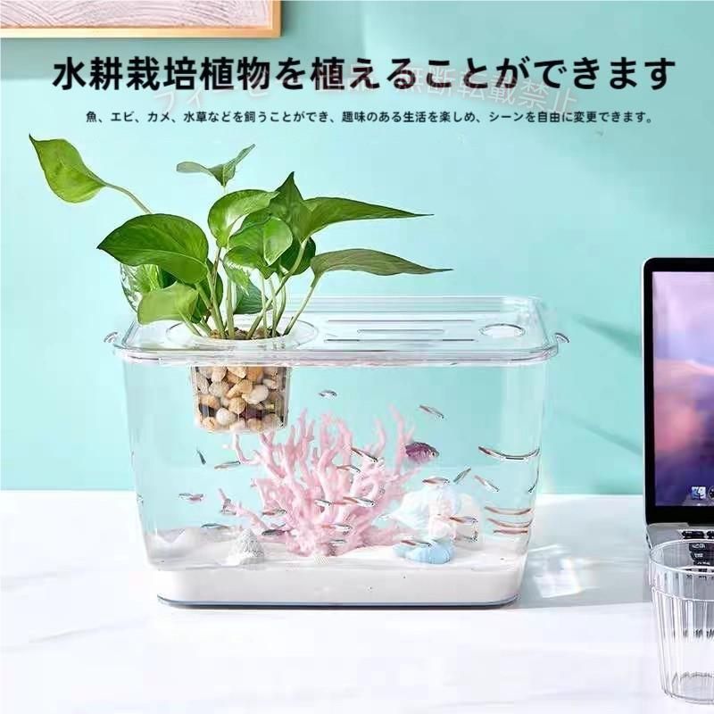【期間限定5％OFFクーポン】金魚鉢 メダカ 透明 水槽 花瓶 アクアリウム ボトルアクアリウムゾンチー ボトルテラリウム 苔テラリウム コケリウム ペット用品 飼育 おしゃれ 清潔 使いやすい