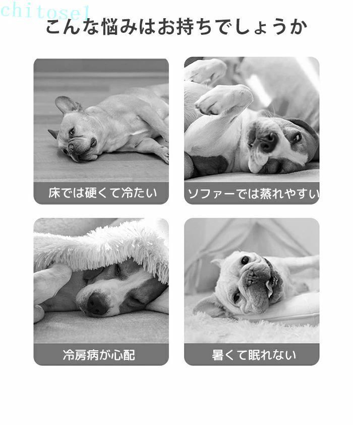 フィービーのペットベッド 接触冷感ベッド 犬猫兼用ペットベッド ペットクッション ひんやりマット ペットグッズ 冷却ベッド ペットクールベッド マット クールマット 洗える 夏用 柔らかい ふわふわ 3/10日限定 接触冷感｜アングル2