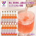 送料無料\割引クーポン配布/ 健康酢 ビネガーソーダ ぶどう 250ml 12本 バルサミコ酢 ホワイト ふりかけ ラッシー 山梨県 富士山 ご当地商品 土産 ...