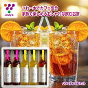 満点青空レストラン紹介\割引クーポン配布/アサヤ ドリンクビネガー 5本 セット バルサミコ酢 ホワイト ふりかけ ラッシー 山梨県 富士山 ご当地商品 お土産...