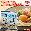 \割引クーポン配布/冷やしぶっかけ 吉田のうどん 2人前 2セット 4人前 スープ付 袋入 ワタショク お取り寄せ 山梨県 ご当地商品 富士山 お土産 お歳暮 ...