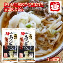 \割引クーポン配布/吉田のうどん 生麺 2人前 2袋 4人前 スープ付 お取り寄せ 山梨 ワタショク ご当地商品 富士吉田 ほうとう 名物 ご当地グルメ 硬いう...