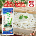 \割引クーポン配布/夏の冷やしほうとう おざら 生麺 4人前 スープ付...(4)