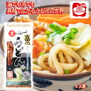 \割引クーポン配布/吉田のうどん 生麺 4人前 スープ付 箱入 お取り寄せ 山梨県 富士山 ご当地商品 お土産 お歳暮 お中元 母の日 ギフト プレゼント 五大...