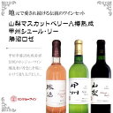 【10％OFFクーポン配布】【送料無料】ワイン セット ギフト 岩崎醸造 地元ワイン3色セット(ベリーA 山梨 樽熟成(赤) 甲州 シュール・リー(白) ホンジョー 勝沼ロゼ) 1本箱入り山梨 お土産 お歳暮 ギフト プレゼント | 山梨 味覚 グルメ お中元