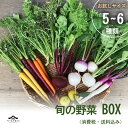 \割引クーポン配布/フルーツ王国 旬の野菜 BOX 5〜6種類 産地直送 地物野菜 中央市 ベーストヨトミ 山梨 富士山 ご当地 お土産 お歳暮 お中元 母の日...