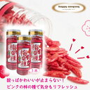 \割引クーポン配布/梅の種 100g 3本 柿の種 ピーナッツなし 梅味 うめ菓子 駄菓子 スナック菓子 罰ゲーム オモシロ菓子 激酸っぱい つまみ 酒の供 アテ 米菓 山梨 お土産 買い忘れ お歳暮 ギフト プレゼント 味覚 グルメ ハッピーカンパニー やみつき とまらない ご当地