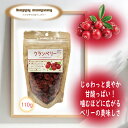 \割引クーポン配布/ドライフルーツ クランベリー 110g 1袋 大容量 お買い得 チャック付パック 小袋入 携帯用 フルーツ セミドライ ダイエット 持ち運び 小分け コンビニ 朝ごはん おやつ 駄菓子 洋菓子 砂糖菓子 常温 山梨 土産 買い忘れ お取り寄せ お歳暮 女子力