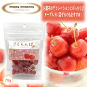 \割引クーポン配布/ドライフルーツ さくらんぼ 70g 1袋 スタンドパック 小袋入 携帯用 フルーツ セミドライ ダイエットフード 持ち運び ハッピーカンパニー 小分け コンビニ 朝ごはん おやつ 駄菓子 洋菓子 砂糖菓子 常温 山梨 土産 お取り寄せ お歳暮 女子力 ビタミン