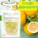 \割引クーポン配布/ドライフルーツ レモン 40g 1袋 スタンドパック 小袋入 携帯用 フルーツ セミドライ ダイエット 持ち運び ハッピーカンパニー 小分け コンビニ おやつ 駄菓子 洋菓子 砂糖菓子 常温 山梨 土産 買い忘れ お取り寄せ お歳暮 女子力 ビタミン 檸檬 皮付き