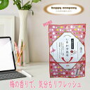 \割引クーポン配布/北海道産真昆布 おやつ昆布 しあわせ昆布 梅味 ミニ 6個入 特製たれ 味付き 名産地 函館産 つまみ お酒の供 駄菓子 お菓子 贈答品 ギフト 縁起物 贈り物 お歳暮 お祝い 引き出物 ハッピーカンパニー 山梨 土産 買い忘れ お取り寄せ こんぶシート