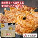 \割引クーポン配布/氷温熟成肉 眠り豚はるな 特製餃子 1パック お取り寄せ クール便 ブランド豚 銘柄豚 榛名 愛しのはるな BBQ グランピング 肉汁 水餃子 揚げ餃子 町中華 山梨 富士山 お土産 お歳暮 贈答 お中元 ギフト 群馬 長期熟成 冷凍品 食べ比べ 贈り物