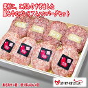 送料無料 \割引クーポン配布/氷温熟成肉 眠り豚はるな 黒毛和牛 手ごね 生ハンバーグ セット 120g 8個 各4個 クール便 岩野精肉店 富士山 山梨 お土産 お歳暮 お中元 母の日 贈答 手土産 ギフト プレゼント BBQ グランピング はるな 榛名 ブランド肉 銘柄豚 国産 日本