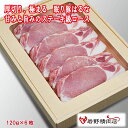 送料無料\割引クーポン配布/ 氷温熟成肉 眠り豚はるな 厚切 120g 6枚 群馬県産 ロースステーキ カツ BBQ 生姜焼き ポークソテー 焼とん ブランド肉...