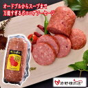 \割引クーポン配布/氷温熟成肉 眠り豚はるな ボロニアソーセージ 1本 400g ブランド豚 銘柄豚 榛名 愛しのはるな BBQ グランピング 高級 岩野精肉店 ブランド肉 ウィンナー ポトフ スープ 山梨 お土産 お歳暮 贈答 お中元 ギフト プレゼント 群馬 長期熟成
