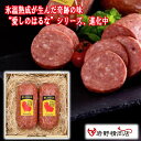 \割引クーポン配布/氷温熟成肉 眠り豚はるな ボロニアソーセージ 2本セット クール便 ブランド豚 銘柄豚 榛名 愛しのはるな BBQ グランピング 高級 ブランド肉 ウィンナー ポトフ スープ 山梨 お土産 お歳暮 贈答 お中元 ギフト プレゼント 群馬 長期熟成 太い 塊肉