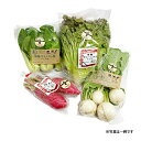 \割引クーポン配布/明野ファーム 有機野菜 おまかせ 4種(5月上旬頃~12月中旬頃まで発送可能) 完熟 山梨県 北杜市 明野町 日照時間 明野九州屋ファーム ...