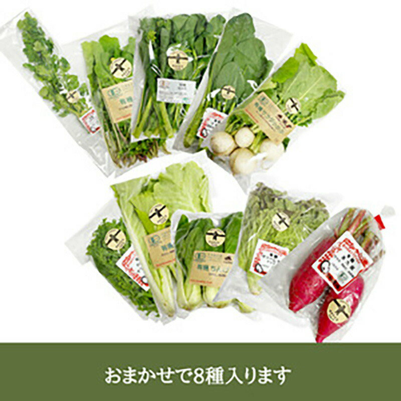 【10％OFFクーポン配布】有機野菜おまかせ8種（5月上旬頃～12月中旬頃まで発送可能） 明野九州屋ファーム 山梨 お土産 お歳暮 ギフト プレゼント