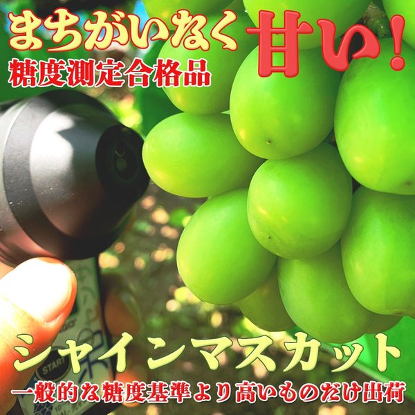【10％OFFクーポン配布】ぶどう ブドウ 古谷葡萄園 間違いなく甘いシャインマスカット 1房 60 ...