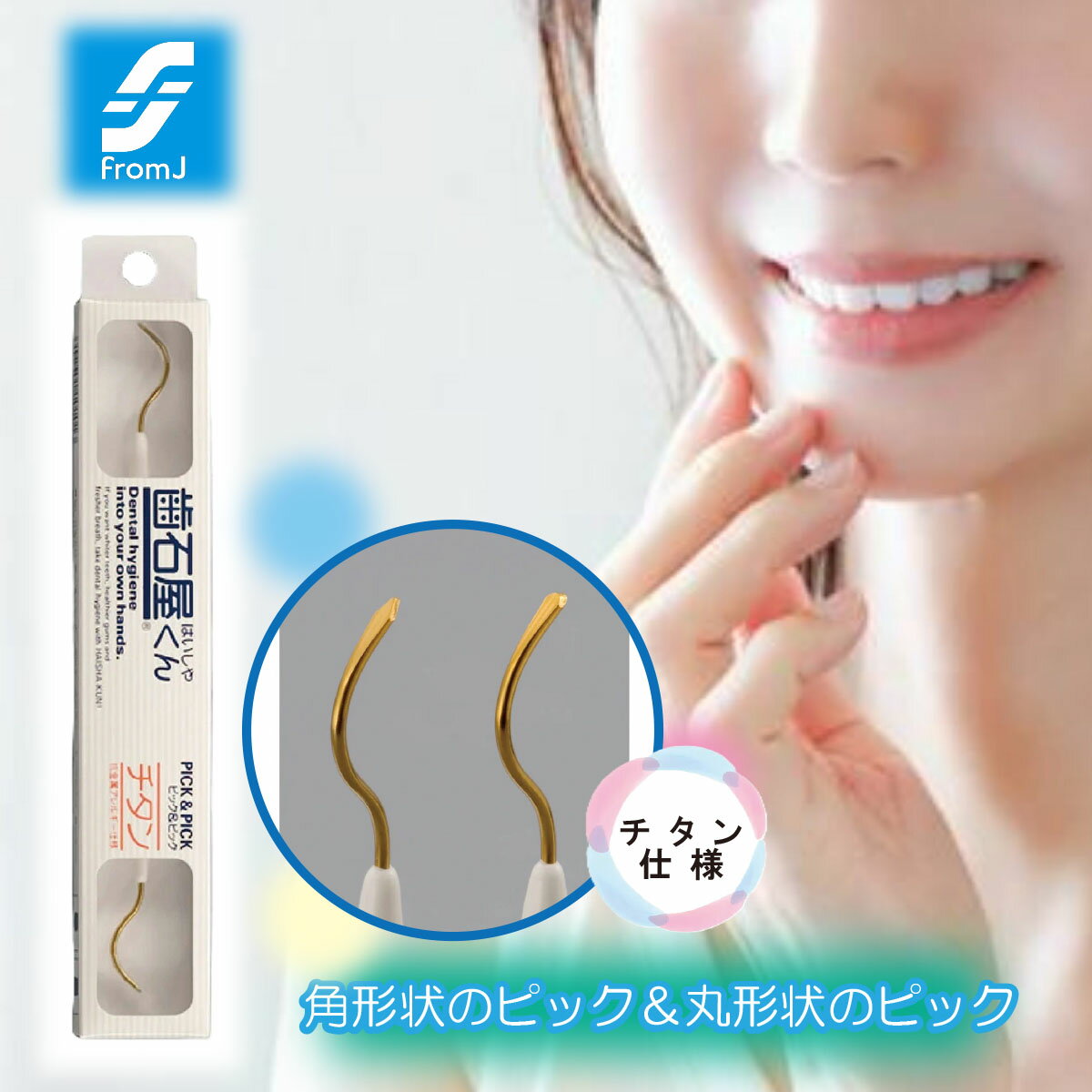 ＼割引クーポン配布／ピック＆ピックシリーズ ピック＆ピック チタン仕様 歯の清掃具 プロ仕様 ステイ..