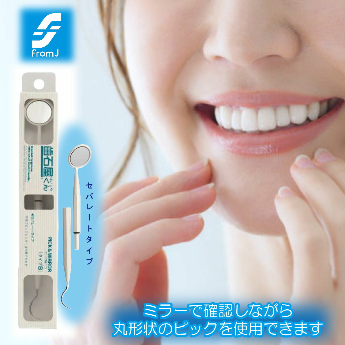 セパレートタイプシリーズ ピック＆ミラー 歯の清掃具 プロ仕様スケーラー シリコンゴム ステイン除去 ..