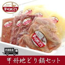 【GW割引クーポン】【送料無料】ブランド鶏 甲州地どり肉セット 地鶏まるごと味わえる豪華セット 贈答品 ラーメンセット お取り寄せ山梨 お土産 お歳暮 ギフト プレゼント | 山梨 味覚 グルメ …