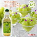 送料無料\割引クーポン配布/ 山梨シャインマスカットサイダー 245ml 1ケース 24本 果肉入 ご当地サイダー 山梨 お土産 お歳暮 お中元 子供の飲み物 飲料 地サイダー 地ソーダ ギフト プレゼント お取り寄せ 果汁入 ヤマフジ