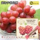 \割引クーポン配布/サンシャインレッドクリームロール 16本入 6箱 ヤマフジ 超希少ブドウ 新品種 甲斐ベリー7 サニードルチ シャインマスカット 山梨県 ご...