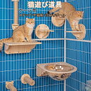 猫 ケージ用 爪とぎ ステップ おもちゃ スクラッチャー 爪みがき 透明宇宙船 猫用 ケージハンギングキャット キャットステップ クライミングシェルフウォールマ...