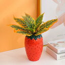 陶器 鉢 プランター 円筒形 多肉植物容器 多肉植物ポット 花瓶 いちご型の植木鉢 癒し かわいいプレゼント 穴無し 庭木鉢 おしゃれな植木鉢 小型植木鉢 軽い...