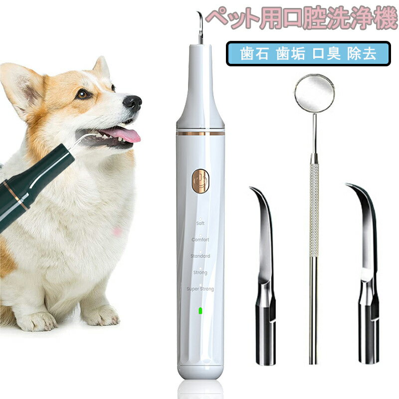 ペット用歯磨きキット 超音波歯クリーナー 口腔洗浄機 犬用歯垢除去歯科ツール 5モード調節可能 内蔵LED照明 IPX8防水 猫・犬兼用歯ブラシ ペットの歯垢 歯石 除去 歯磨き 口臭 歯 デンタルケア 動物 おすすめ 安全のサムネイル