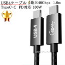 Dynabook/ダイナブック対応 USB4 (TypeC-TypeC) 1.0m ブラック Part.2 40Gbps USB PD対応 100W Thunderbolt 4/3 互換 送料無料【メール便の場合】