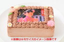 写真ケーキ フォト プレート 付き プリント 画像 誕生日 バースデー 記念日 お祝い 還暦 敬老の日 誕生日 チョコ 送料無料 ケーキ インスタ映え