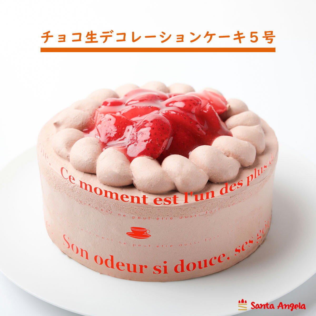 送料無料 苺生チョコデコレーション 5号 苺 チョコクリーム 誕生日ケーキ バースデーケーキ 直径15cm 記念日 ギフト お祝い 誕生日ケーキ 記念日 ギフト お取り寄せ お祝い スイーツ 4人分