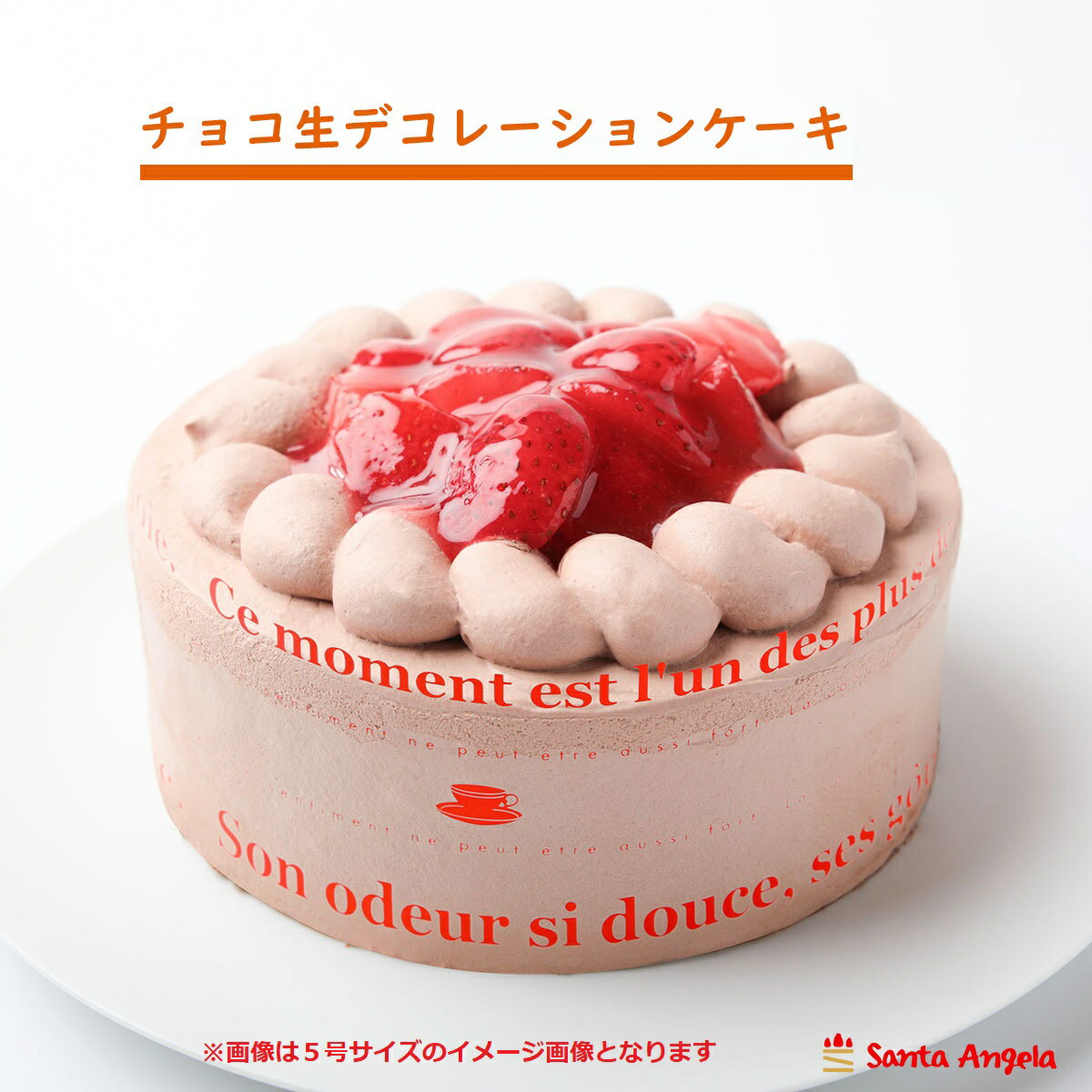 デコレーションケーキ 誕生日ケーキ こども チョコレートケーキ 送料無料 記念日ケーキ ホールケーキ チョコレートケーキ ショートケーキ お祝い