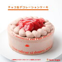 いちごチョコ生クリームケーキ母の日ケーキ 母の日ギフト プレゼント 送料無料 チョコケーキ デコレーションケーキ 2025