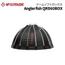 y|Cg10{ 3/29 18:00`zIFOOTAGEmACtbe[WnAnglerfish QRD60BOX h[\tg{bNX