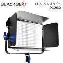 BLACKBEZT［ブラックベット］LEDスタジオライト P120D （LEDスタジオライト スタジオライト 撮影機材 プロ用機材 照明）