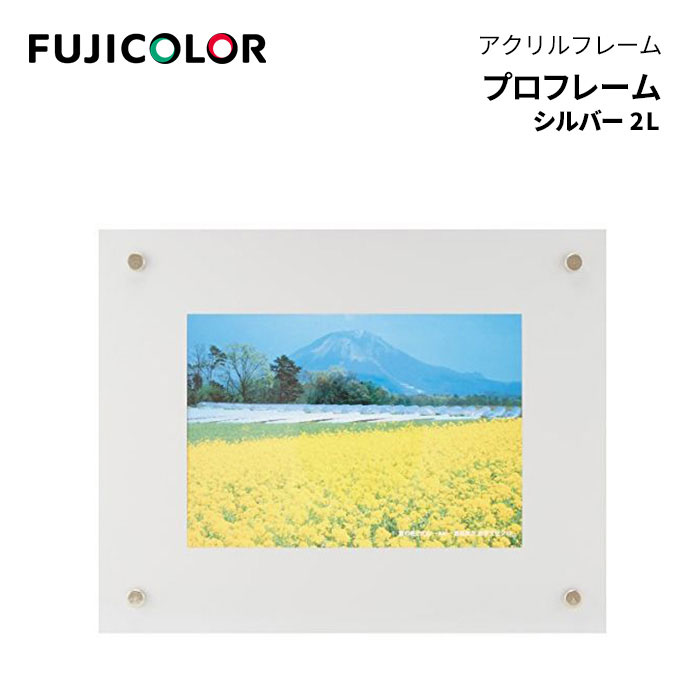 FUJICOLOR［フジカラー］額縁 プロフレーム 2L アクリル シルバー