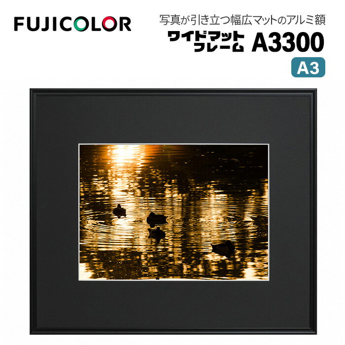楽天市場】フジカラー 額縁 a3000の通販