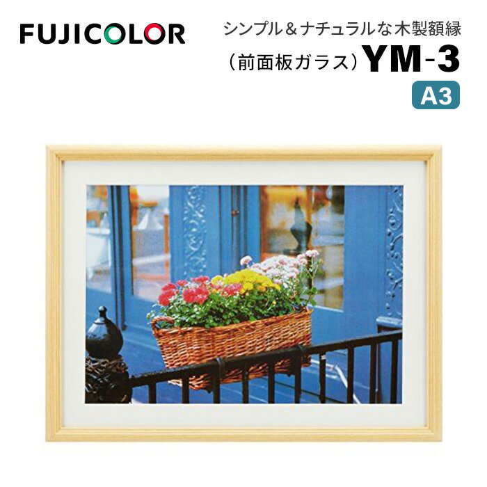 FUJICOLOR 額縁 YM-3 アクリル 木地 全紙 木製 ベージュ 22467