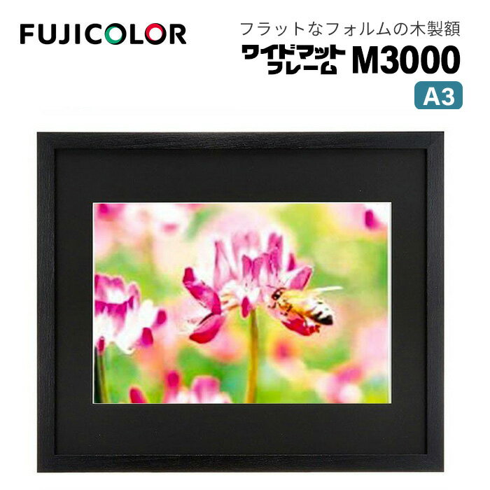 ڥݥ10ܡFUJICOLORΥե顼ϳ۱ 磻ɥޥåȥե졼 M3000  A3  ֥å