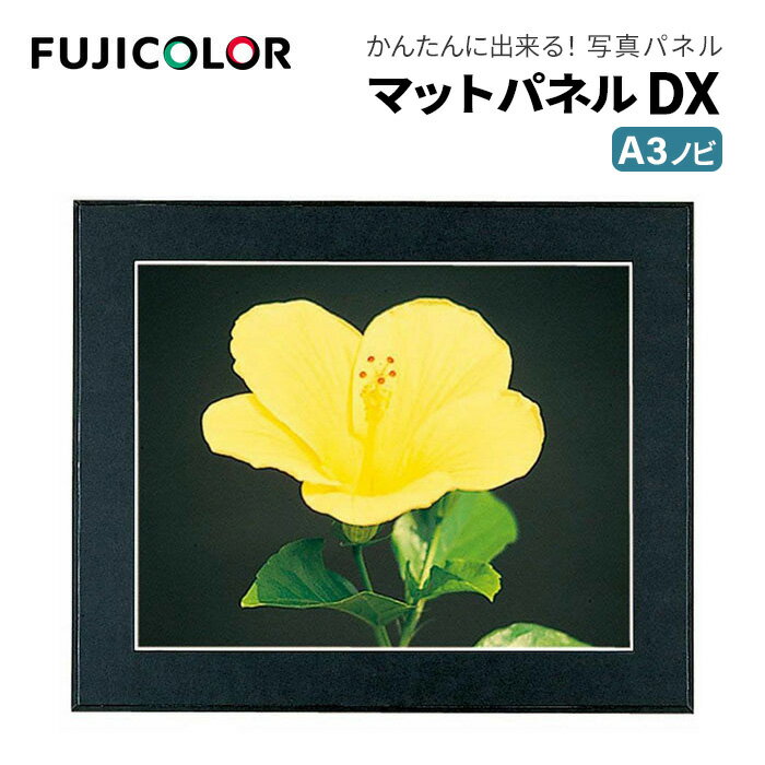 【ポイント10倍 5/17 15:00～】FUJICOLOR［フジカラー］額縁 マットパネル DX A3ノビ 木製 ブラック 1