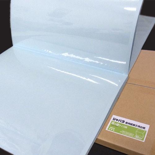 ピジョン ジャバラ画用紙展示用台紙 8つ切 50コマ 1ケース カラー台紙（ブルー クリーム） タイトルカード用ポケット付き 学校 教室 展示会 作品展 イベント コンクール 美術館 掲示物 作品 絵画 展示 保管 蛇腹 八切 業務用