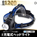 1日20倍 全品100円引 ヘッドランプ ヘッドライト LED ヘッドランプ 防水 USB充電式 センサー点灯 電池付属 IP65 高輝度 3モード 明るい ...