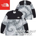 1日20倍 全品100円引 海外限定 人気THE NORTH FACE NOVELTY ALBANY CREWNECK NM5MP04J ノースフェイス ナイ...