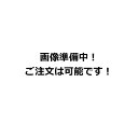 【楽天ランキング1位獲得】アイリスオーヤマ 靴乾燥機 ダブルノズル SD-C1-W 送料無料 沖縄・離島除く